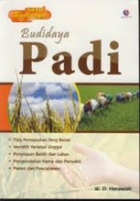 Budidaya Padi