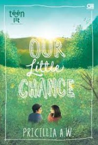 TeenLit: Our Little Chance